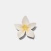 Broche de flor