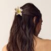 Broche de flor