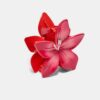 Broche de flor