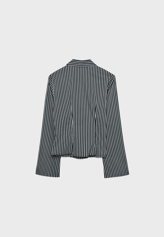 Camisa entallada Camisa entallada